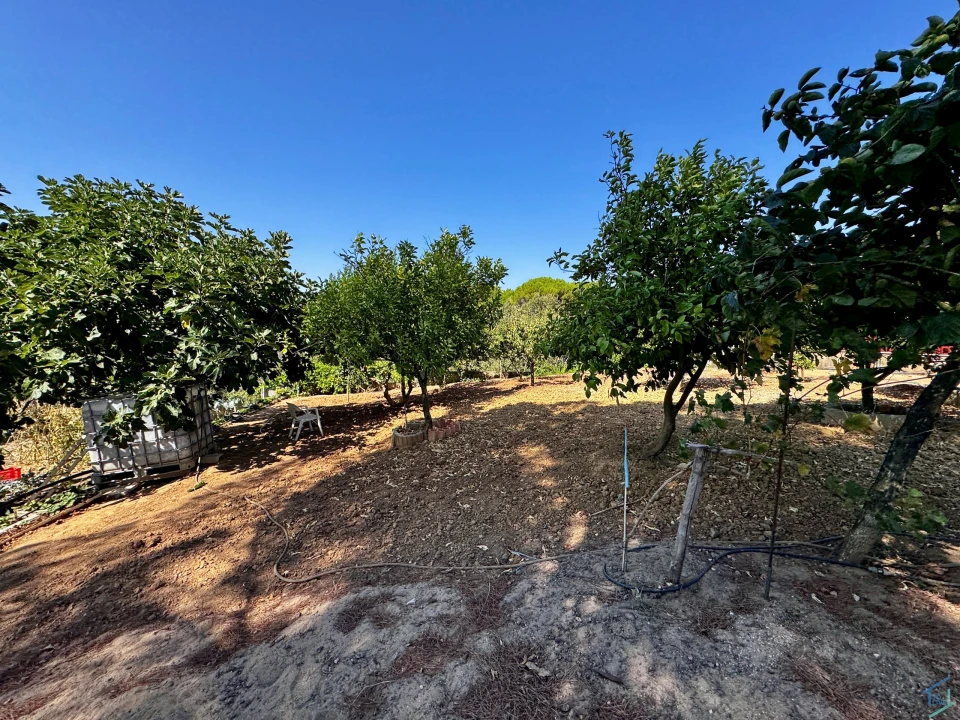 Moradia T4 para Venda em Madalena e Beselga Foto 48