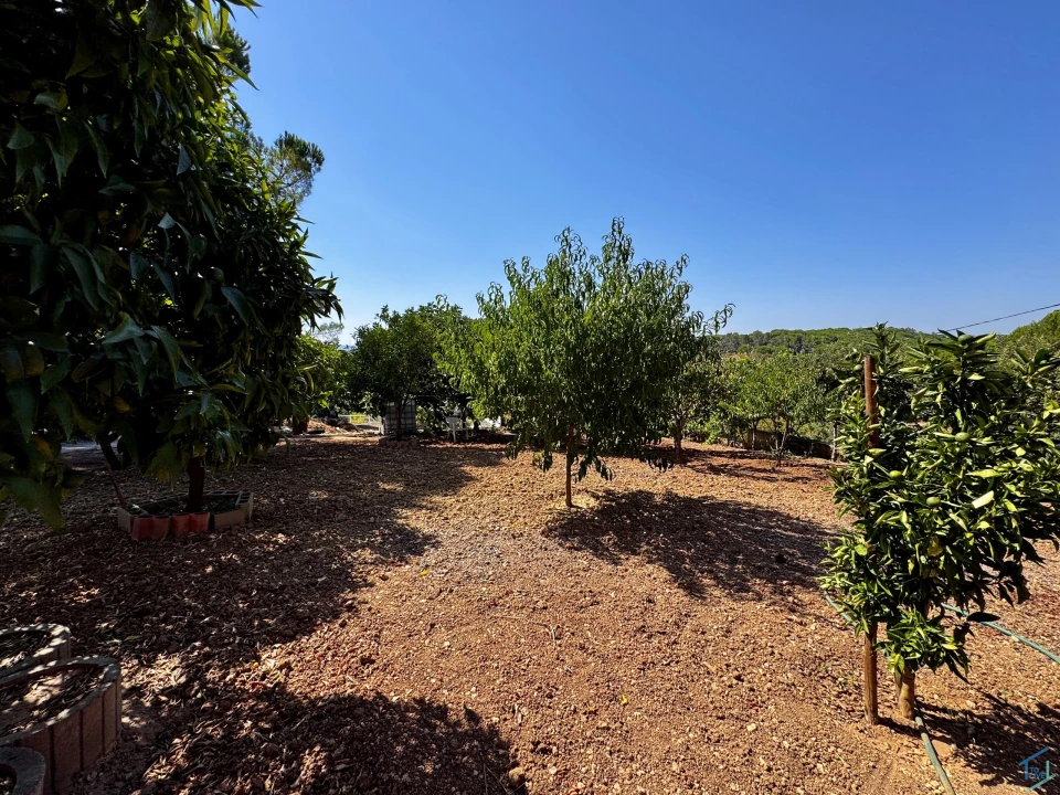 Moradia T4 para Venda em Madalena e Beselga Foto 46