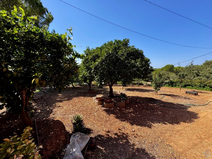 Moradia T4 para Venda em Madalena e Beselga Foto 45