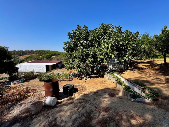 Moradia T4 para Venda em Madalena e Beselga Foto 49