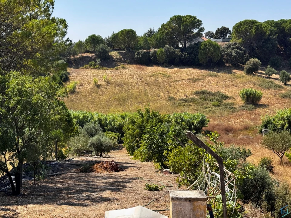 Moradia T4 para Venda em Madalena e Beselga Foto 52