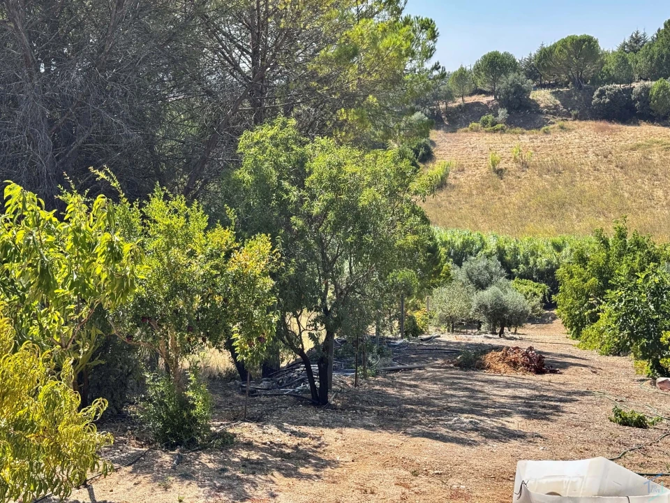 Moradia T4 para Venda em Madalena e Beselga Foto 53