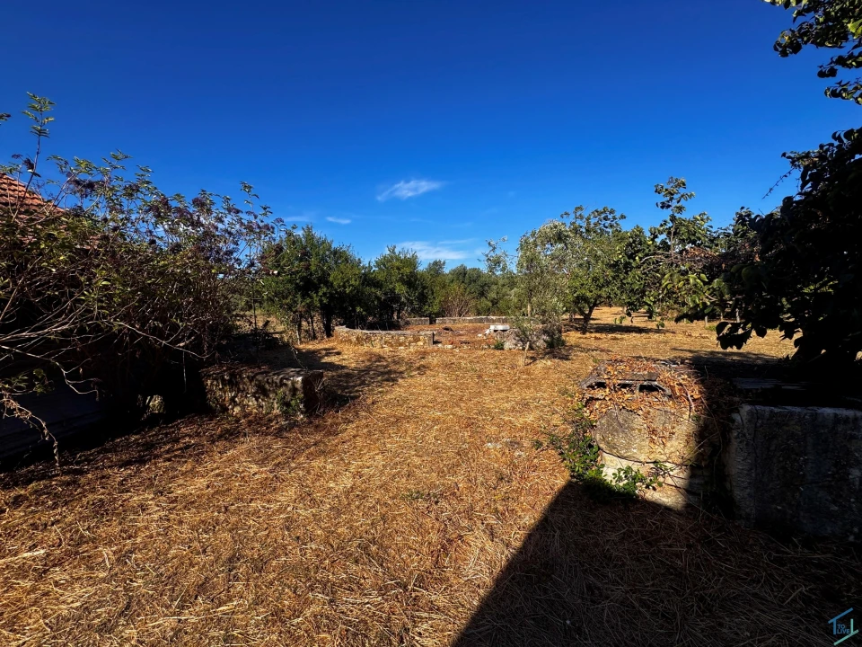 Terreno para Venda em Chãos Foto 22