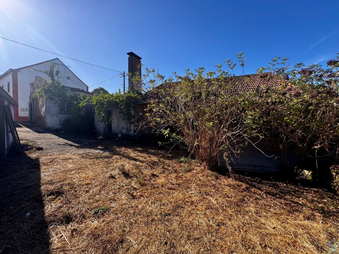 Terreno para Venda em Chãos Foto 37