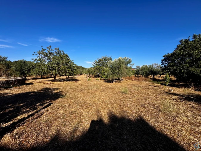 Terreno para Venda em Chãos Foto 26