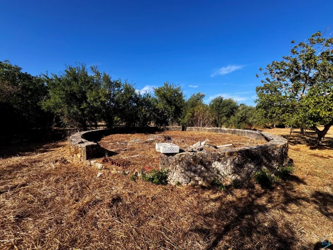 Terreno para Venda em Chãos Foto 28