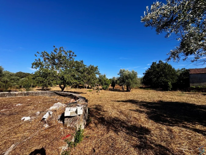 Terreno para Venda em Chãos Foto 29