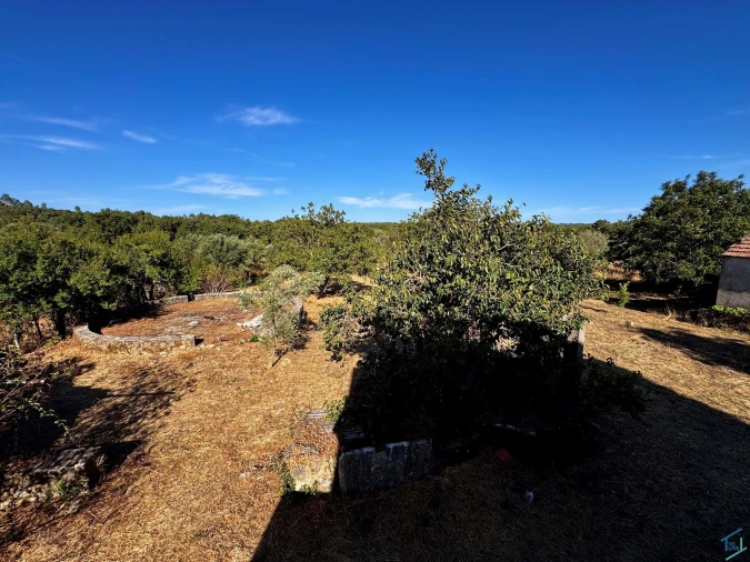 Terreno para Venda em Chãos Foto 42