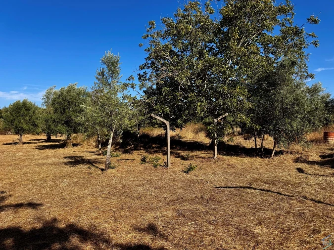 Terreno para Venda em Chãos Foto 32