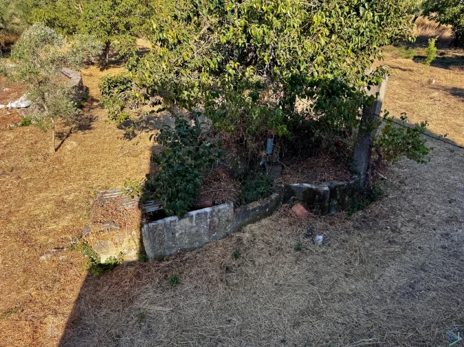 Terreno para Venda em Chãos Foto 41