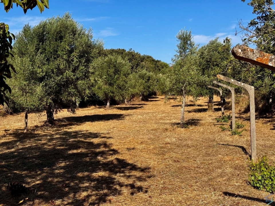 Terreno para Venda em Chãos Foto 30