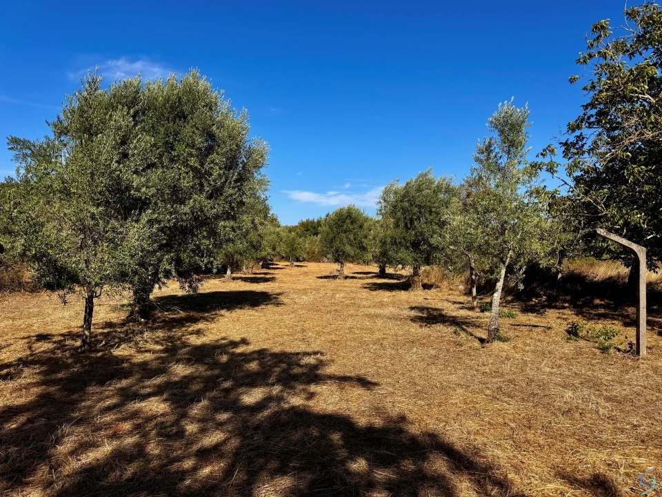 Terreno para Venda em Chãos Foto 31