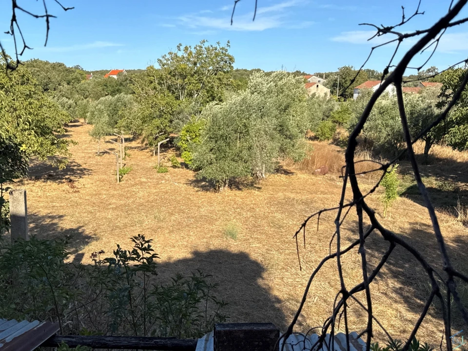 Terreno para Venda em Chãos Foto 4
