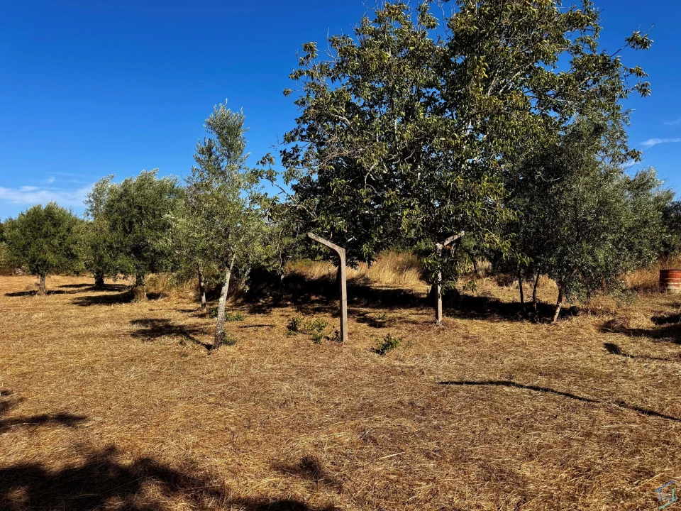 Terreno para Venda em Chãos Foto 32