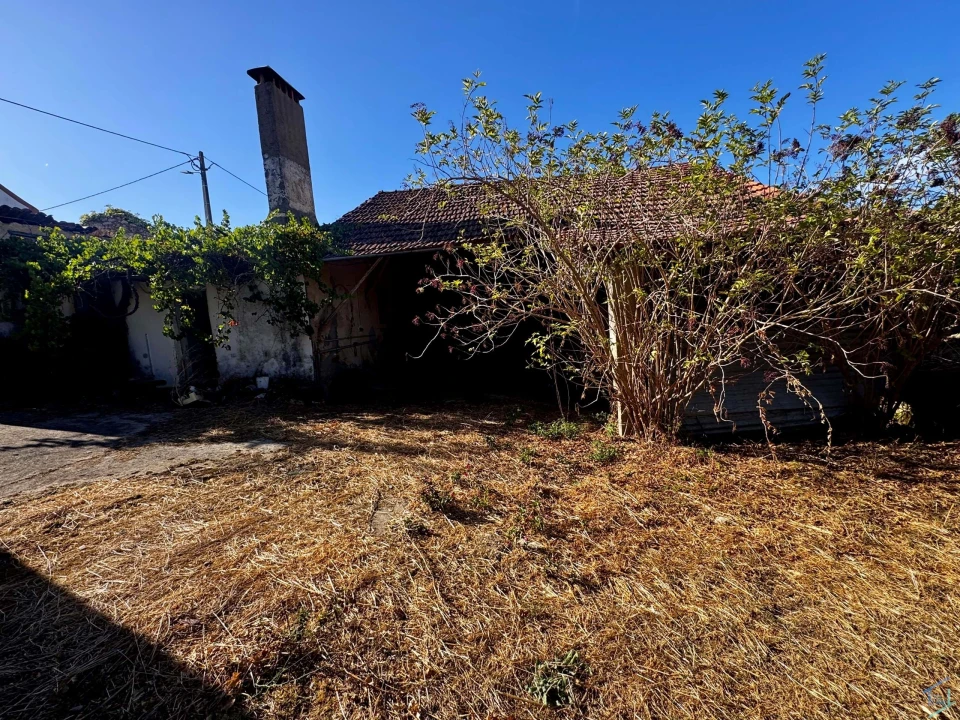 Terreno para Venda em Chãos Foto 21
