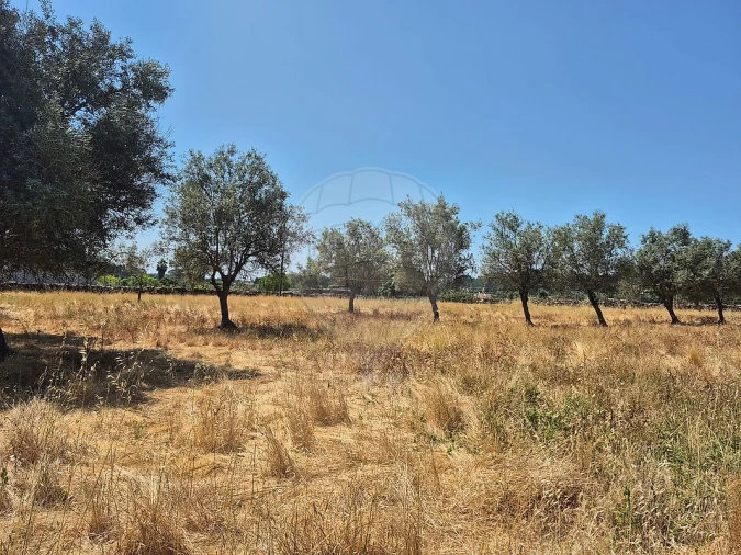 Moradia T2 para Venda em São Luis Foto 17