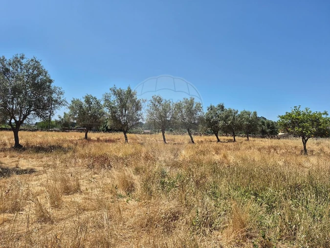 Moradia T2 para Venda em São Luis Foto 15