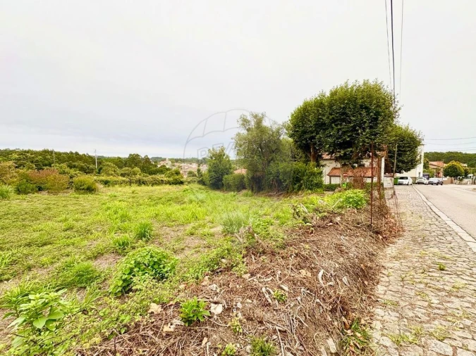 Terreno para Venda em São Felix da Marinha Foto 4