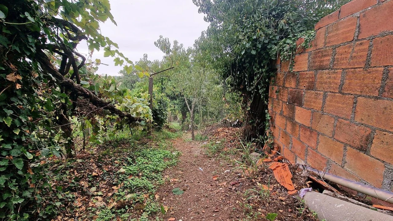 Moradia T3 para Venda em Sé Nova, Santa Cruz, Almedina e São Bartolomeu Foto 17