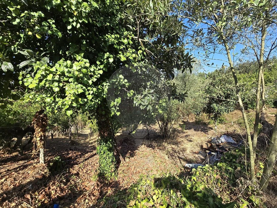 Moradia T3 para Venda em Sé Nova, Santa Cruz, Almedina e São Bartolomeu Foto 14