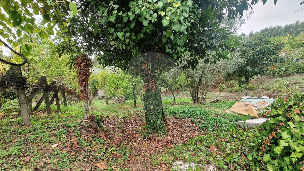 Moradia T3 para Venda em Sé Nova, Santa Cruz, Almedina e São Bartolomeu Foto 15