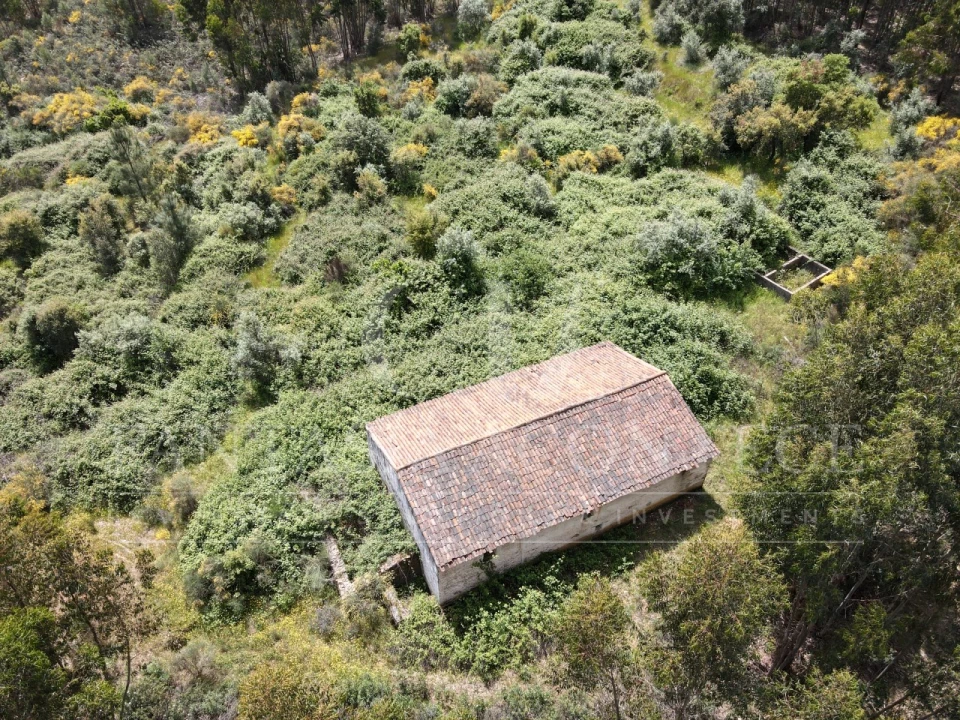 Terreno Misto para Venda em Reguengo e São Julião Foto 4