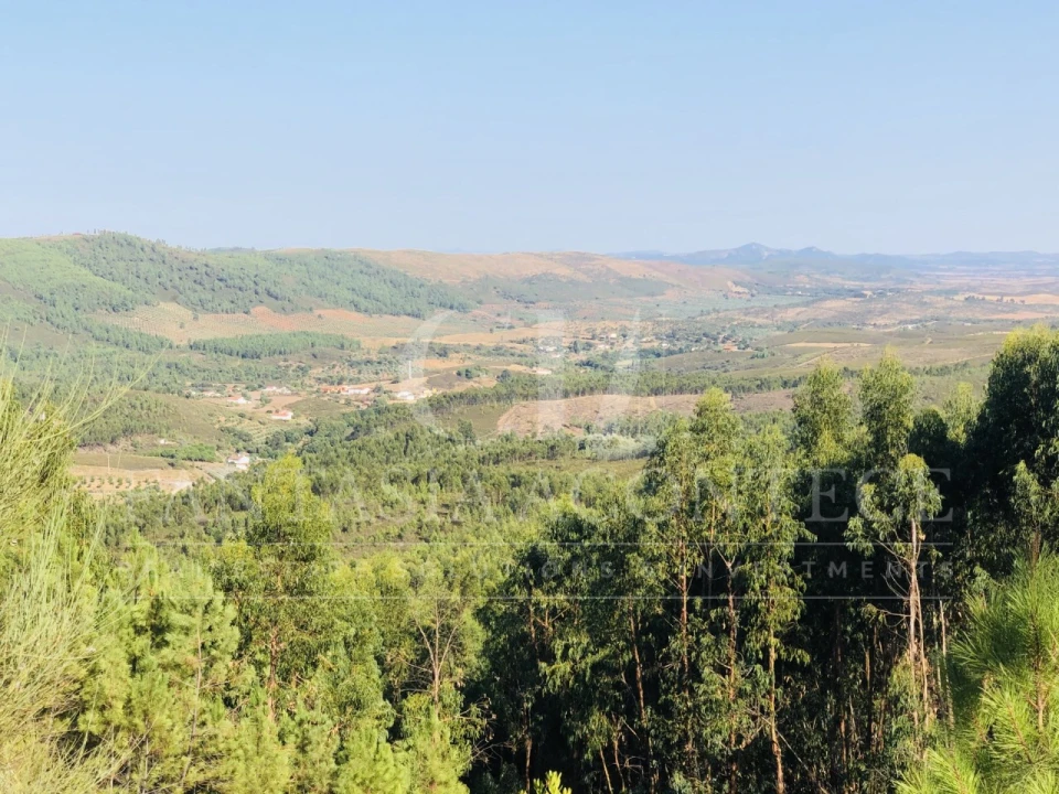 Terreno Misto para Venda em Reguengo e São Julião Foto 9