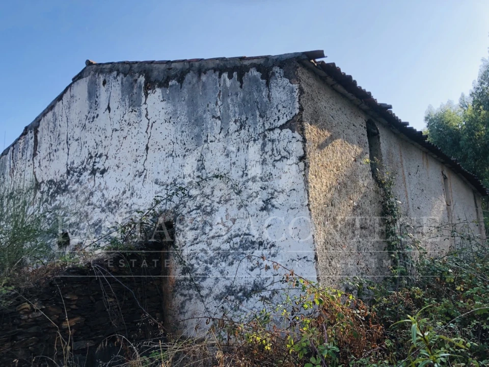 Terreno Misto para Venda em Reguengo e São Julião Foto 15