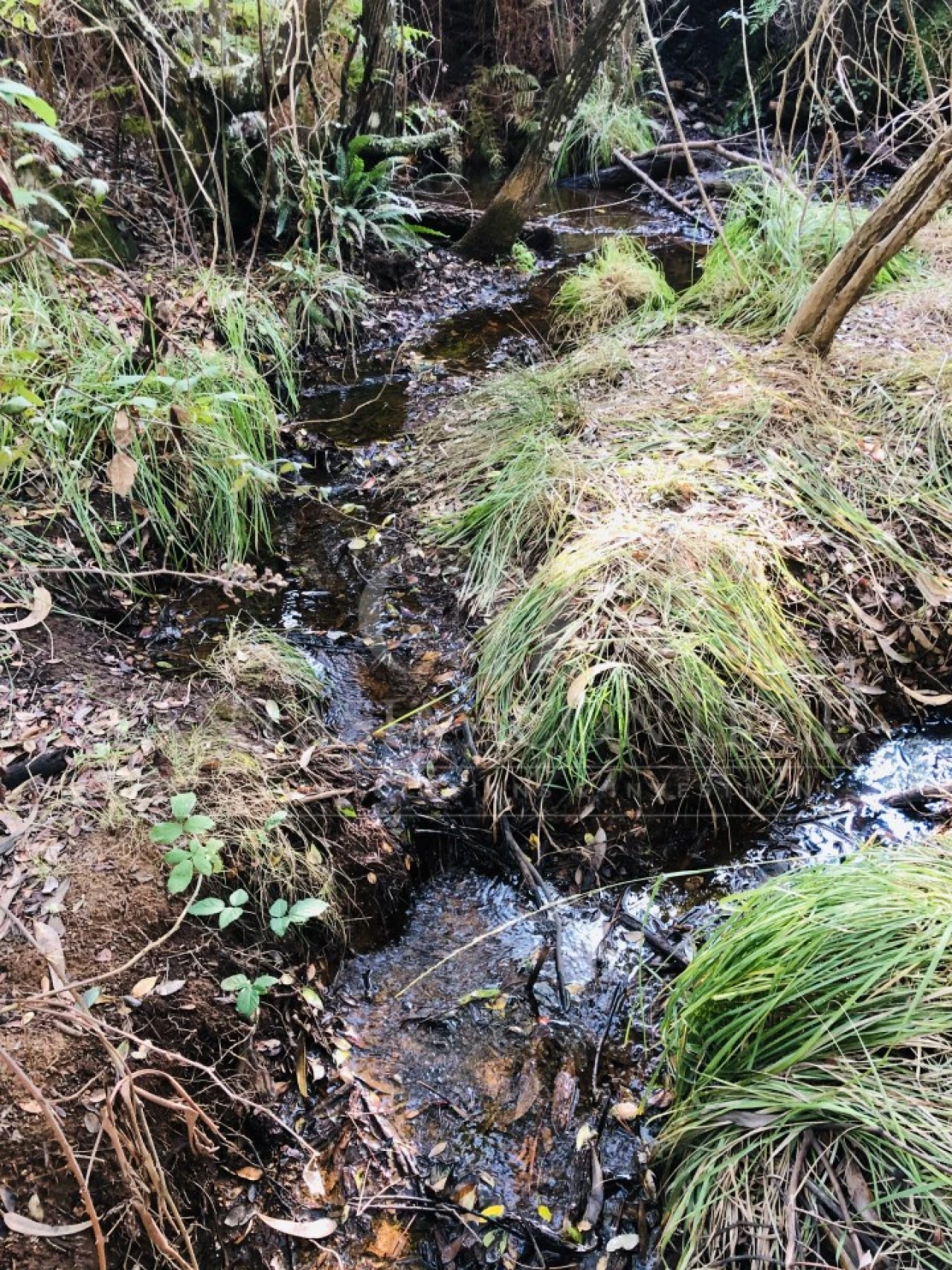 Terreno Misto para Venda em Reguengo e São Julião Foto 17