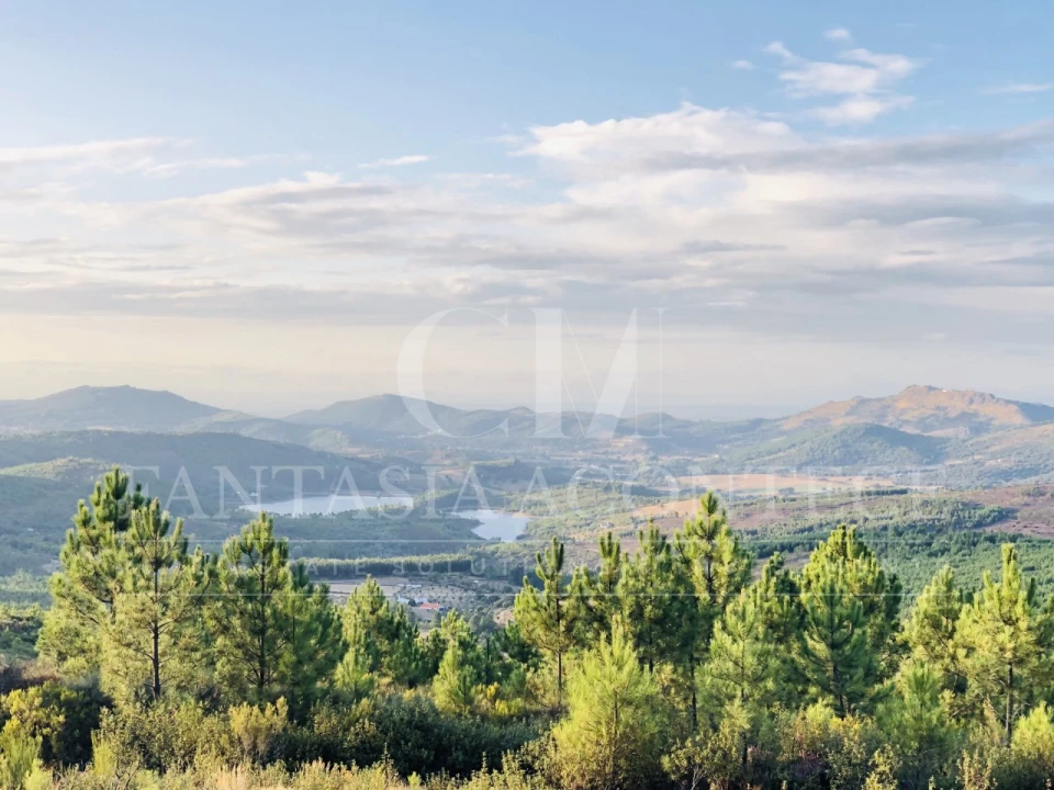 Terreno Misto para Venda em Reguengo e São Julião Foto 18