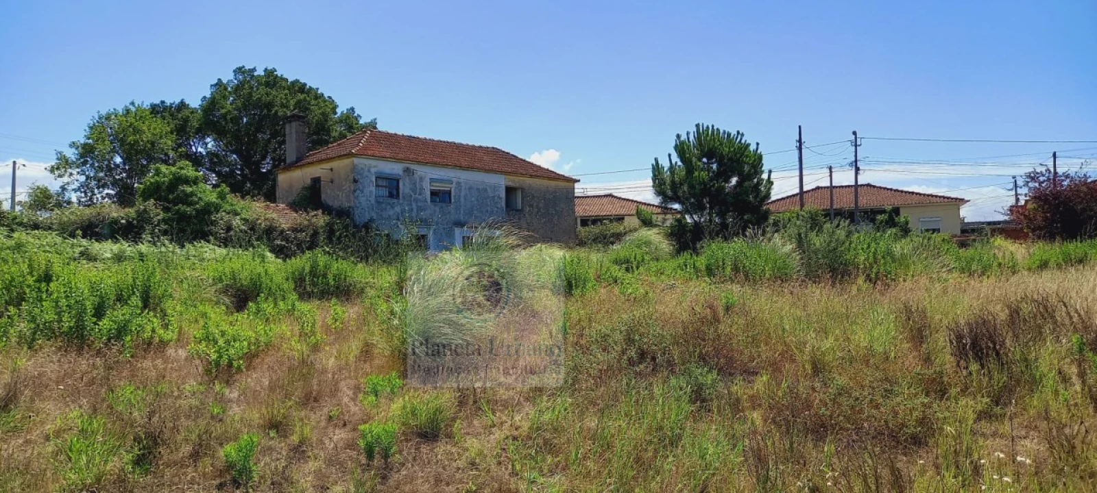 Terreno para Venda em Ovar, São João, Arada e São Vicente de Pereira Jusã Foto 2
