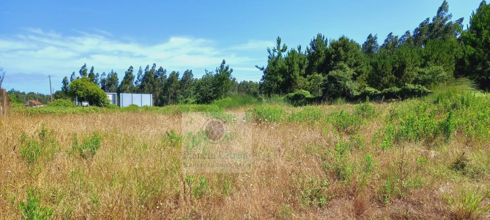 Terreno para Venda em Ovar, São João, Arada e São Vicente de Pereira Jusã Foto 3
