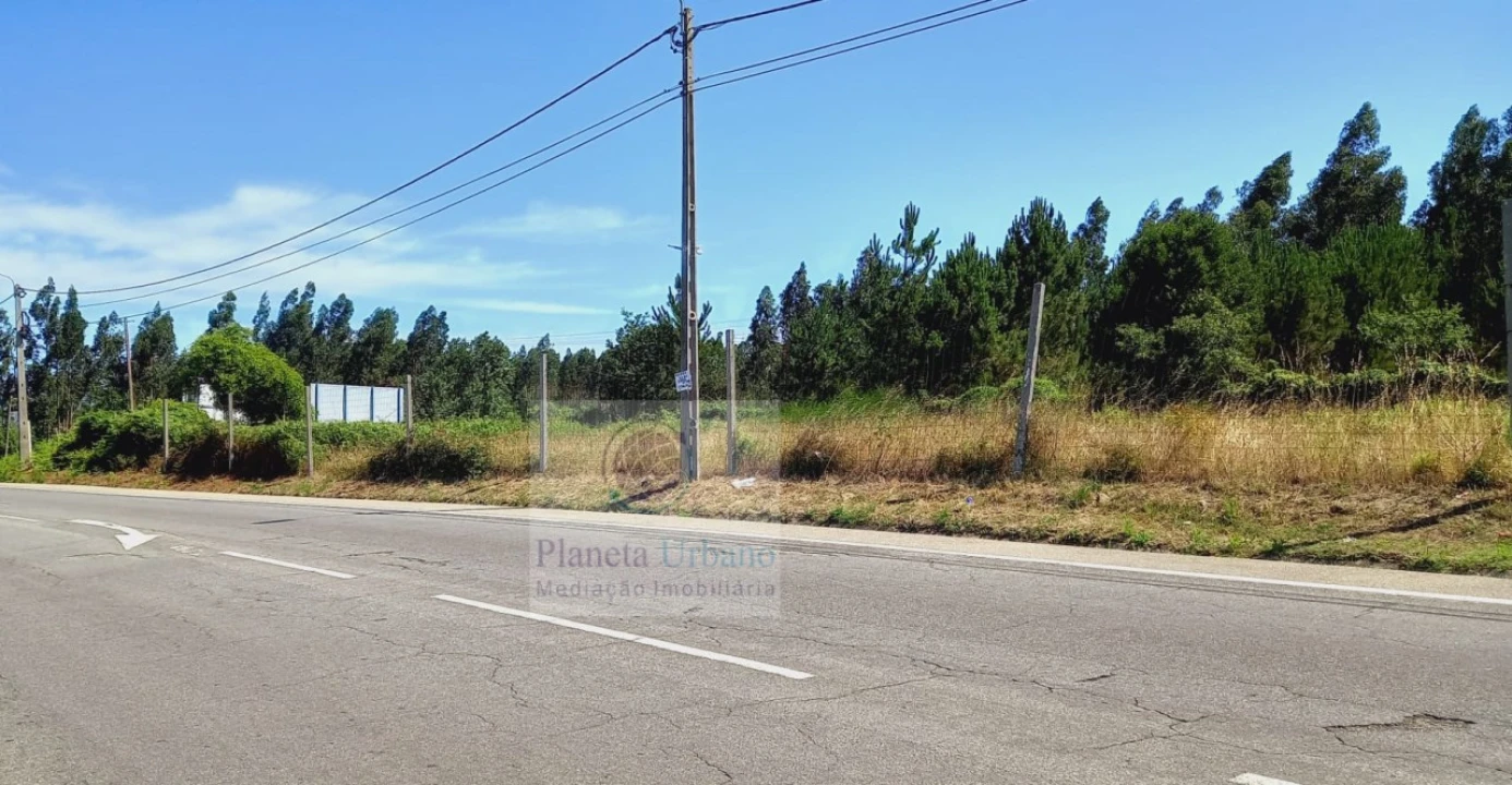 Terreno para Venda em Ovar, São João, Arada e São Vicente de Pereira Jusã Foto 5