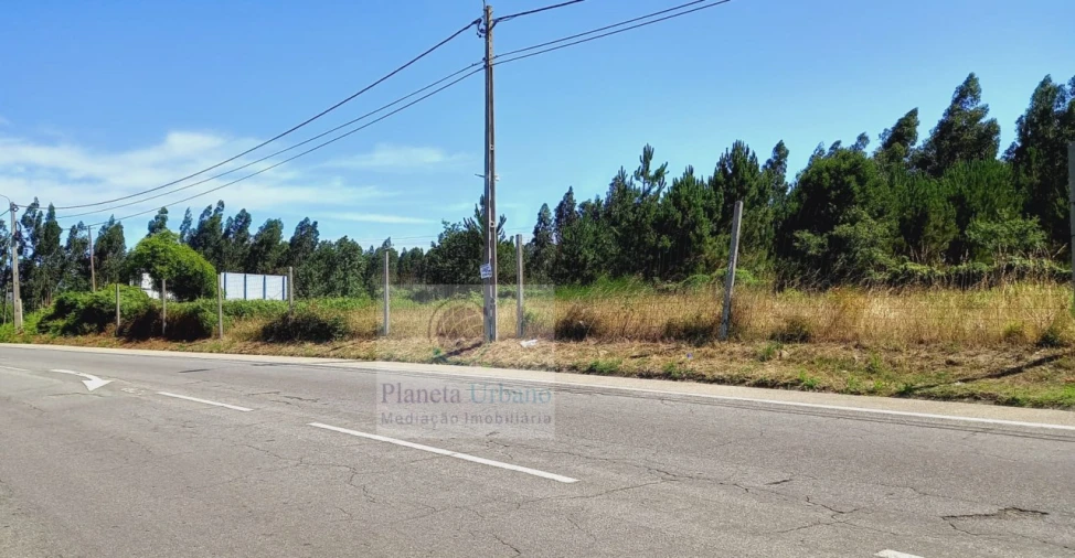 Terreno para Venda em Ovar, São João, Arada e São Vicente de Pereira Jusã Foto 5