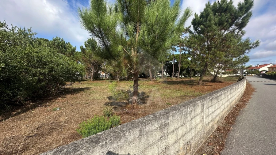 Terreno para Venda em Apúlia e Fão Foto 8