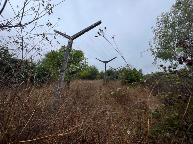 Terreno para Venda em São Martinho de Árvore e Lamarosa Foto 2