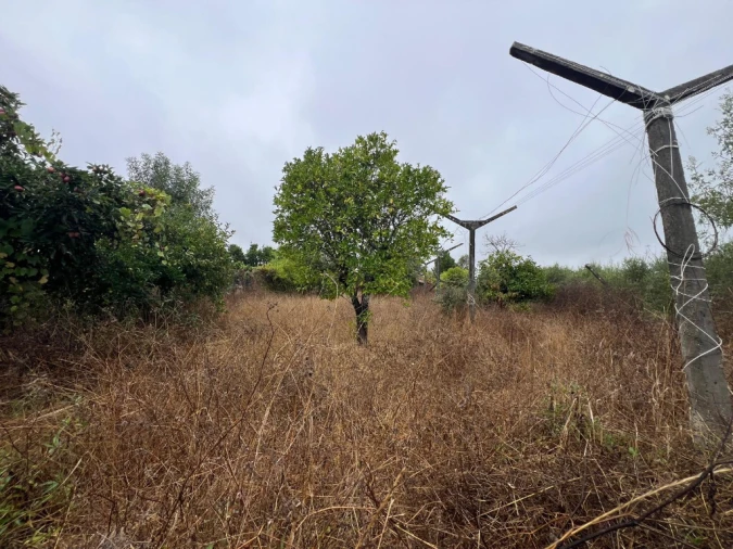 Terreno para Venda em São Martinho de Árvore e Lamarosa Foto 3