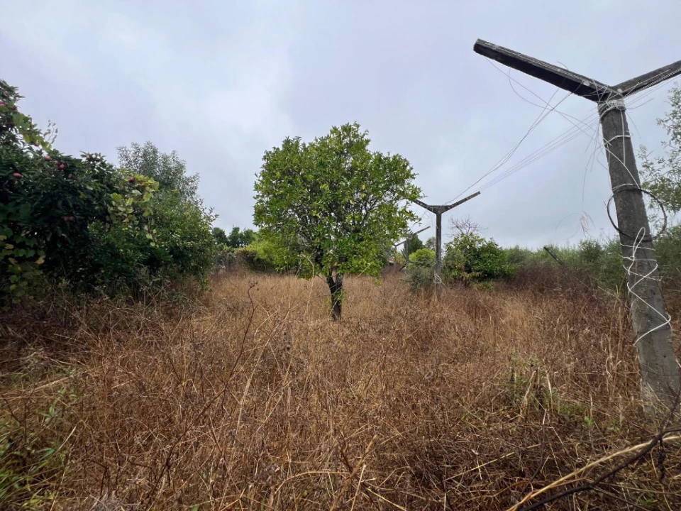 Terreno para Venda em São Martinho de Árvore e Lamarosa Foto 3