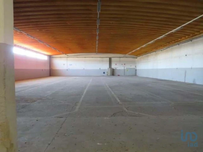 Loja para Venda em Muge Foto 10