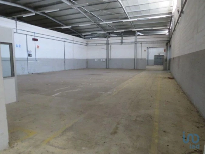 Loja para Venda em Muge Foto 14