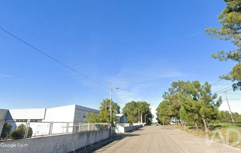 Loja para Venda em Muge Foto 16