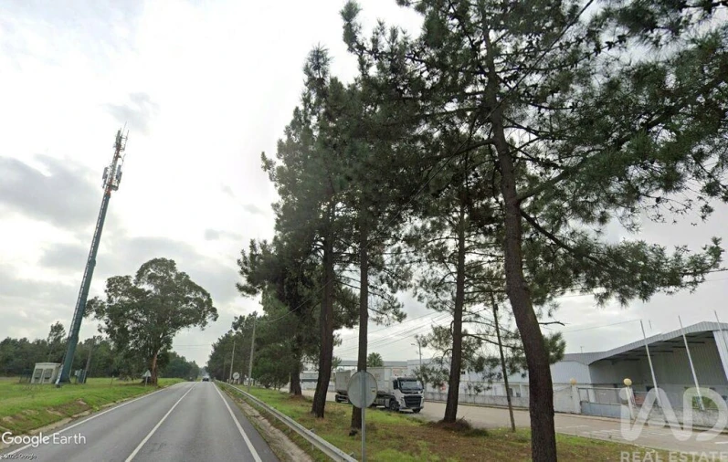 Loja para Venda em Muge Foto 18