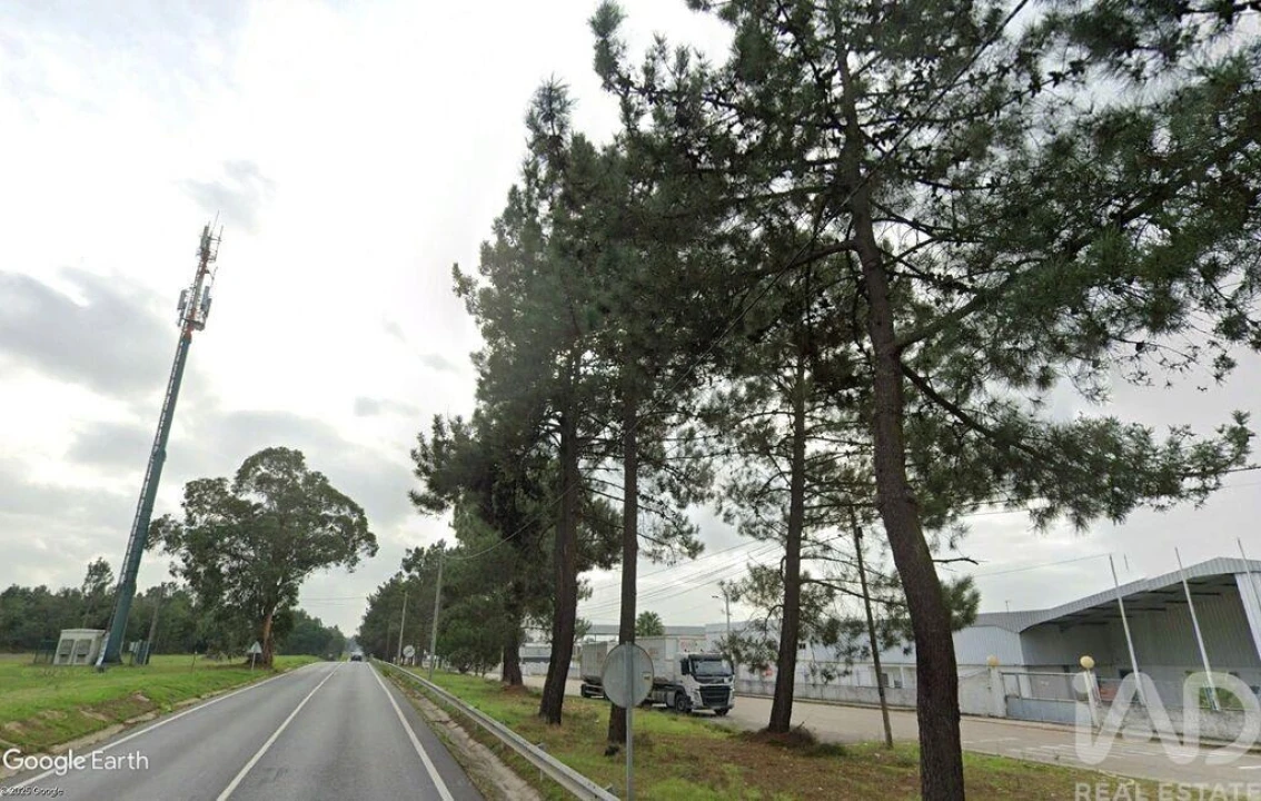 Loja para Venda em Muge Foto 18