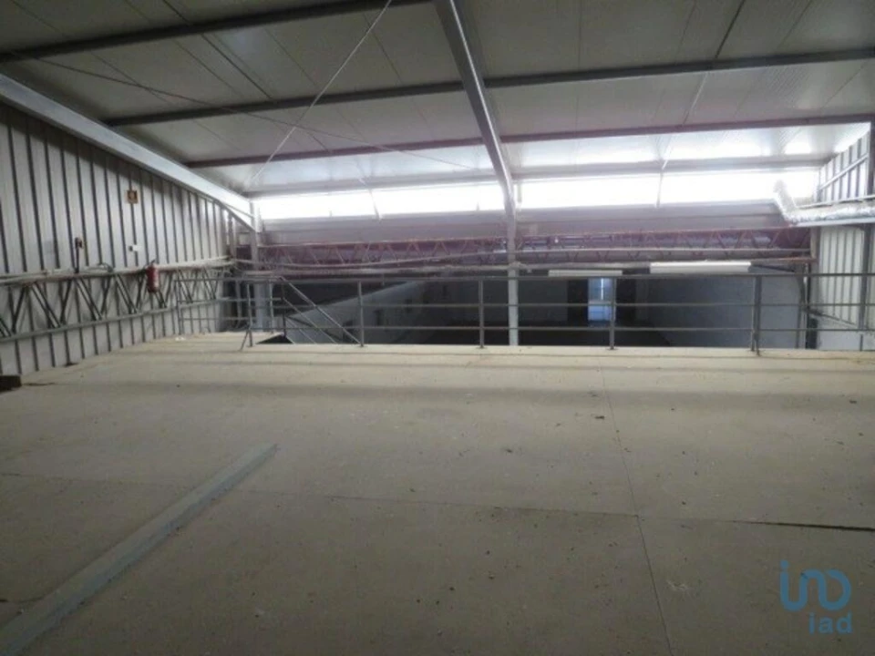 Loja para Venda em Muge Foto 4