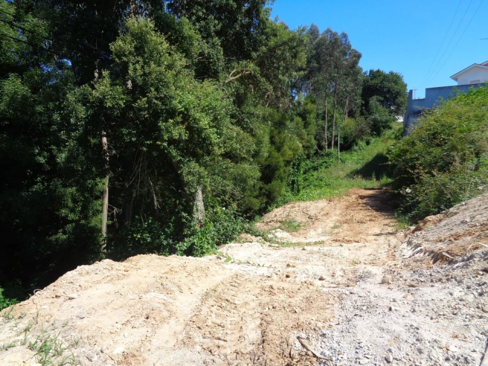 Terreno para Venda em Rio Meão Foto 4