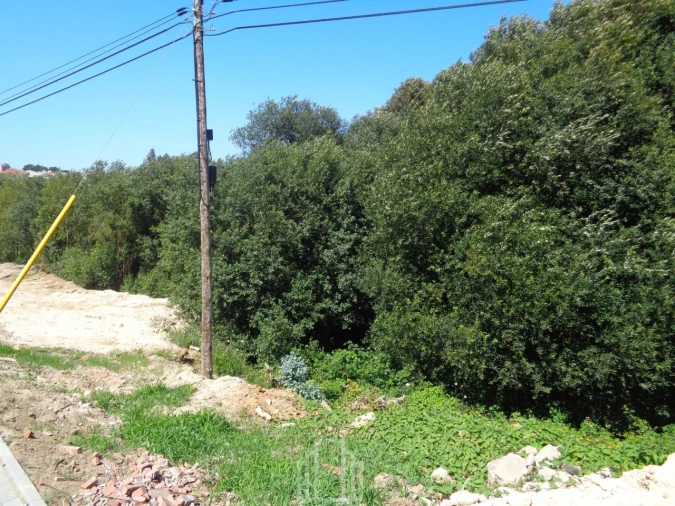 Terreno para Venda em Rio Meão Foto 3