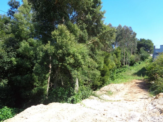 Terreno para Venda em Rio Meão Foto 1