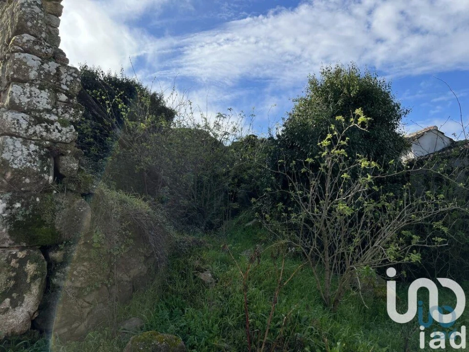 Moradia para Venda em São João da Fresta Foto 3