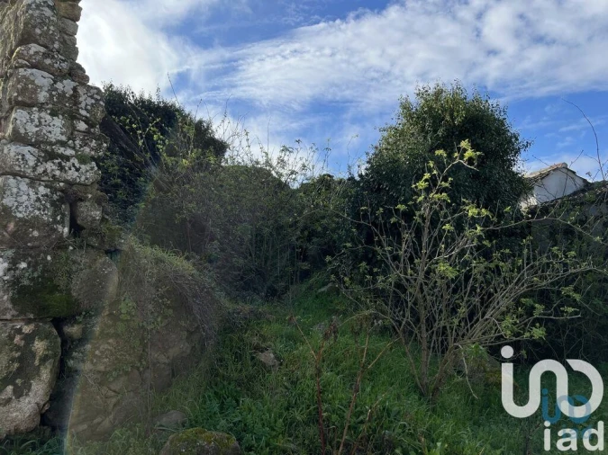 Moradia para Venda em São João da Fresta Foto 3