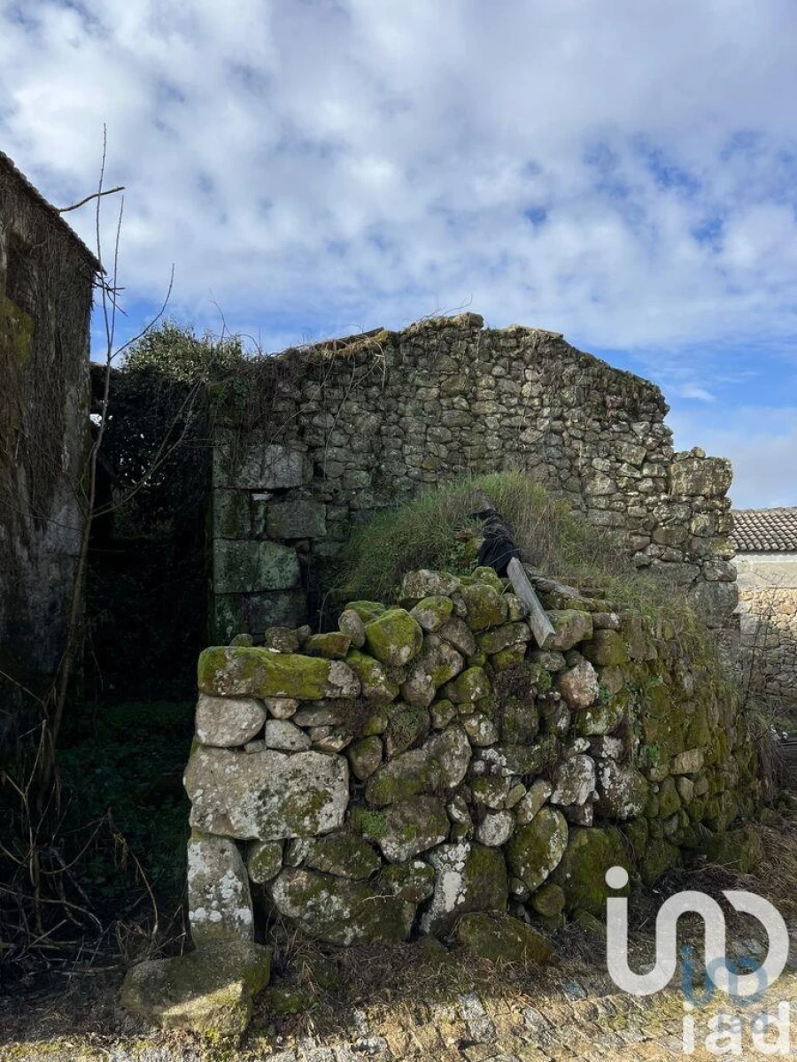 Moradia para Venda em São João da Fresta Foto 4